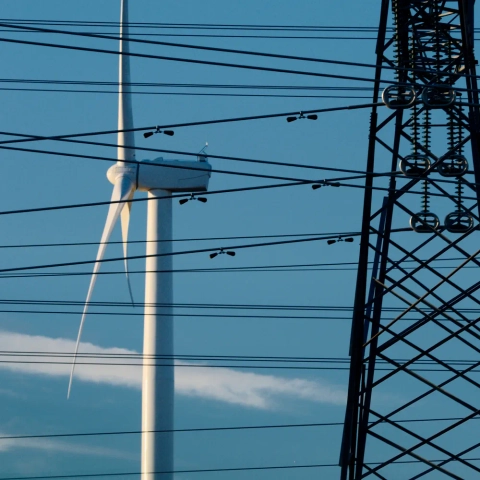 SEM network model forecast header image